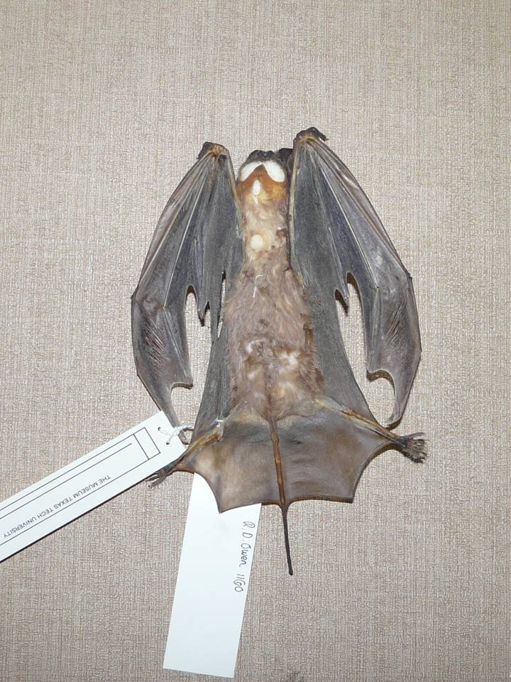 FIGURE 2 FIGURE 2